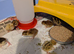 Mixed Coturnix Quail, Eggs, Chicks + Adults
