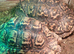 2 male Leopard Tortoises