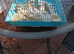 Young Zebra finches for sale