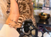 6 gorgeous Bengal kittens