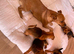 Girl left Jack Russell cross Pomeranian