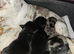 Beautiful babies Only 1 boy left
