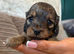 One girl left Kc registered
