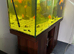 Juwel 450 litre fish tank