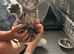 3 female kittens for sale