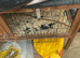 Small hutch