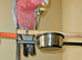 Male galah cockatoo silly tame