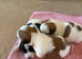 Stunning litter of JackaZoochon Puppies