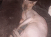 9 month old male spynx £500