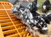 Pekins and marsbar chickens