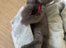 Maine coon x