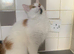 Lovely cat in need of a home