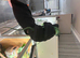 Green keeled bellied lizard pair 2023