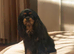 Kc Reg Cavalier King Charles Spaniel Stud