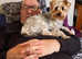 Wanted - Yorkshire terrier stud