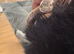 Sand Boa