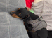 Two Boys, 1 Tan Colour / 1 Black and Tan