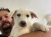 Husky x Labrador(huskador)