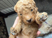 Poochon Puppies