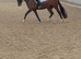 Allrounder/intermediate/teenagers