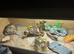Leopard gecko and set up