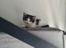 Lovely kitten ask for home