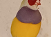 Adult cock gouldian finches for sale
