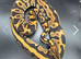 Breeding group! 3 snakes Dreamsicle project