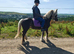 Beautiful Silver Dapple 6yo Mare