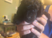 2 toy poodles