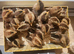 Olive Egger chicks