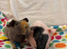 2 skinny pig brothers