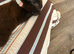 Brown female kitten