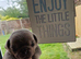 Reduced!!!Pug litter