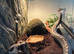 3 year old male ball python with set up