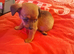 For sale