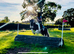 14.1hh Allround Family Mare