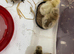 Week old silkie chicks