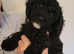 Last 2- Beautiful F1B Cavapoo Puppies-Extensively health tested