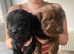 Two Boys for Sale