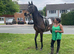 !16.1hh COMPETITION/GENTLEMAN!