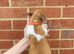 Traditional miniature Jack Russell