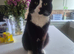 Prince is looking for his 4ever home.
