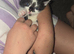 2 KITTENS LEFT MALE AND FEMALE