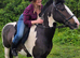 Horses available to ride. Arborfield, Berkshire