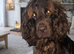 F1B ready now reduced last girl