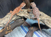 Red Monster x Blue Bar Bearded Dragons at Birmingham Reptiles