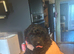 Female toy poodle