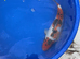 Sanke koi ~40cm