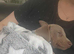 Slinkey